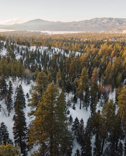 Gianna_Christina_Photo_Bearmountain_Chalet_Big_Bear-0866